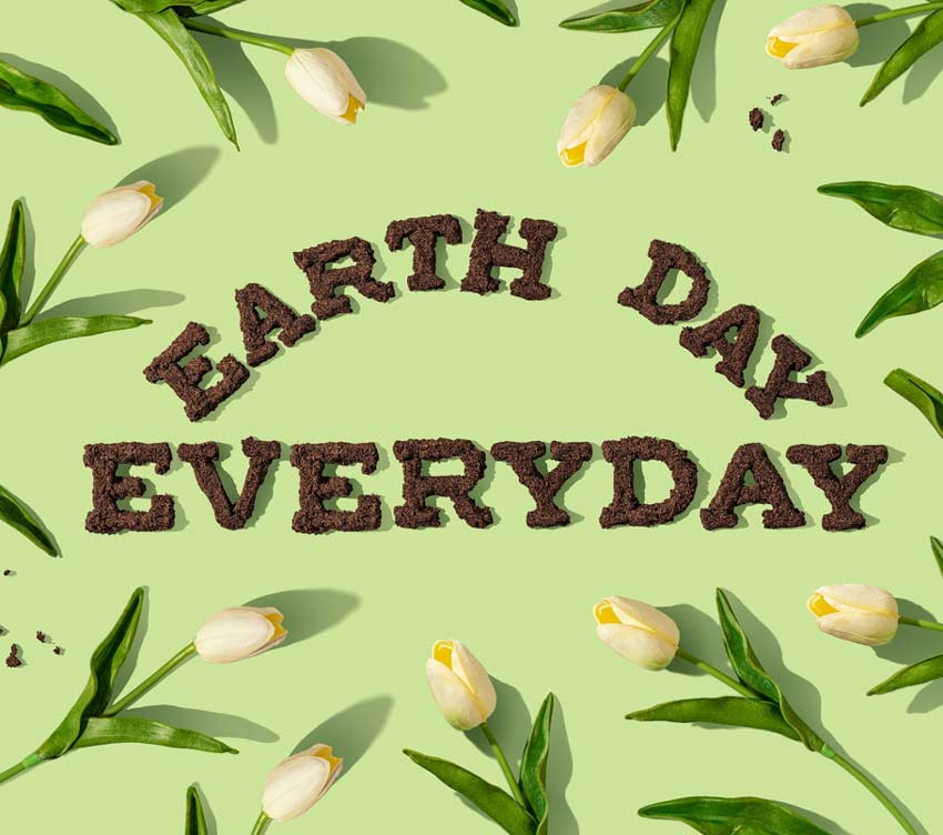 Picture with green background and tulips, written: Earth Day Everyday.
